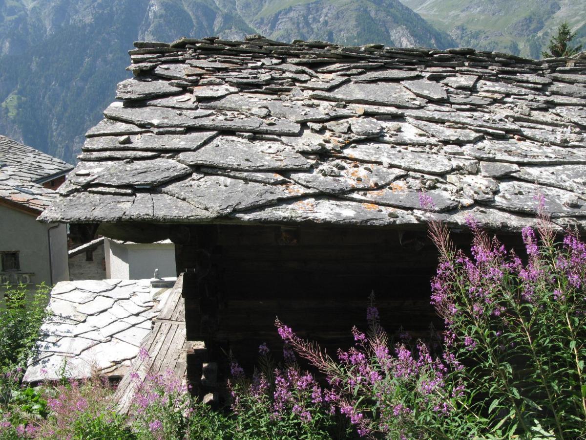 Alpia 26 - Zwei Zimmerwohnung In Traditionellem Walliser Haus Gasenried Екстер'єр фото