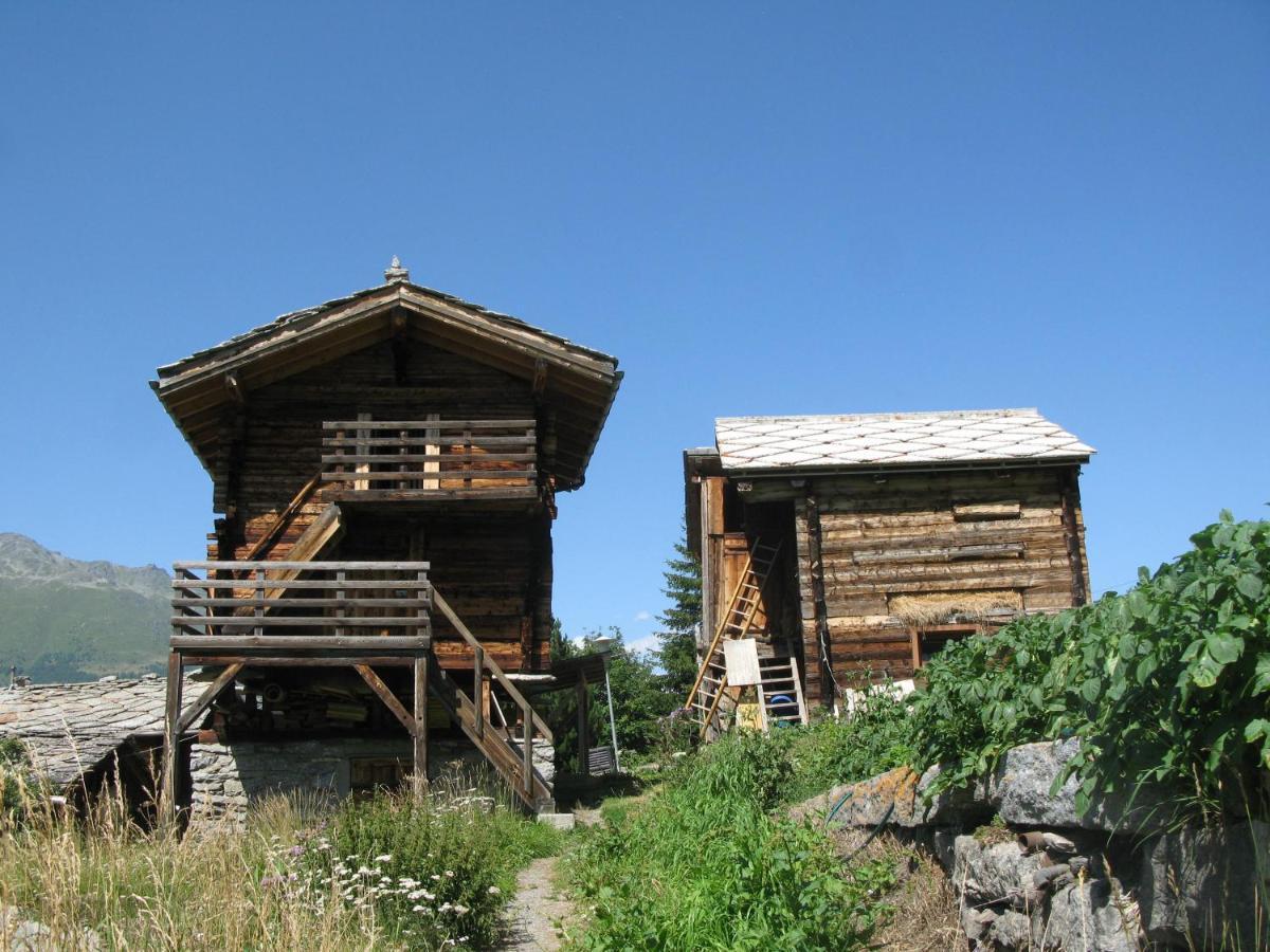 Alpia 26 - Zwei Zimmerwohnung In Traditionellem Walliser Haus Gasenried Екстер'єр фото